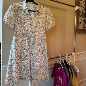 J Crew Factory Collared Mini Shirt Dress, Size 6, Tan Animal Print
